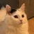 ジェティーさん