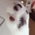 しずく