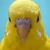くりきんとん