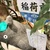 りゅう