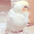 ちひろ
