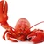 mr.lobster_7101