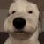 うんぴ
