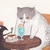 愛生