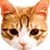 sinsahara