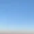 ありんこ