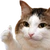 おぴいちゅ