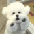 Ruru