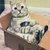 あずき