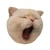nyaoooooooooo