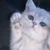 うんぬくんぬ