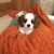 iamすし