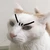 ねこ泥棒