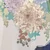 藻