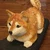 コテツ丸