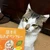 つぶみ