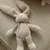 angel.DD
