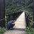 樹
