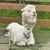 ゆとりのさなえさん