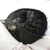 のら猫ラック