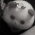 の