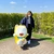 とらまる