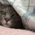 えりか