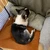 ひーちゃん