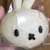 あんきも