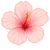 yuipiii1336