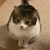ゆきち