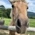 ぬーん