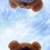 わか