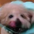 furi