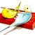 通りすがりのインコ