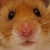 あーこ
