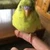 はみと