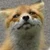 黒猫サタン