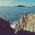 堀川順哉
