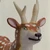 YLO