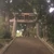 aoniyoshi