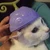 あんずんこ
