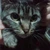 junchi