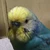 みやこ