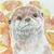 えま