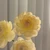 sychn_76