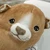応挙犬