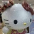 さくらもちこ