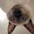 ユウ