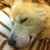 崎山貴文